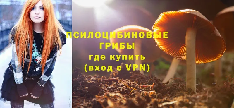 Псилоцибиновые грибы MAGIC MUSHROOMS  наркотики  Гусиноозёрск 